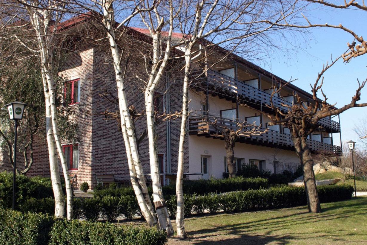 Hotel Willy Gemona del Friuli Esterno foto